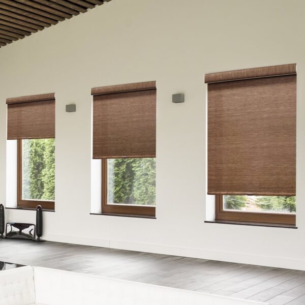 Chicology Deluxe Cordless Roller Shades for Stylish Privacy and Light Control - Image 5