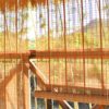 Bamboo Roller Blinds for Indoor and Outdoor Use - Stylish Blackout Shades - Image 2