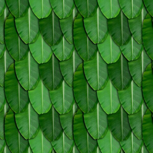 Dhara Banana Leaf Backdrop Cloth for Pooja and Festival Celebrations - Image 4