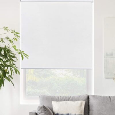 Chicology Roller Shades: Stylish Blackout Blinds for Your Home Windows