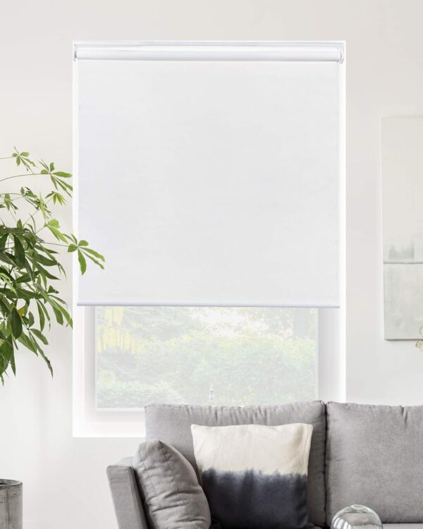 Chicology Roller Shades: Stylish Blackout Blinds for Your Home Windows