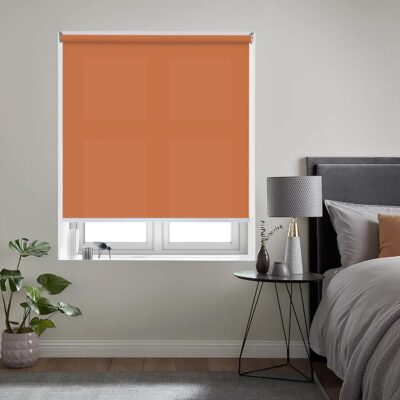 Colornest 27×36 Inch Roller Blinds for UV Protection and Light Filtering