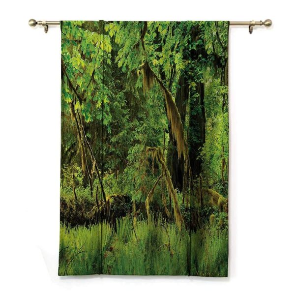 Rainforest Roman Window Shades: Embrace Nature's Serenity and Relaxation - Image 2